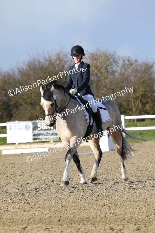 20260314-5830 - DR 7 - Elementary 1