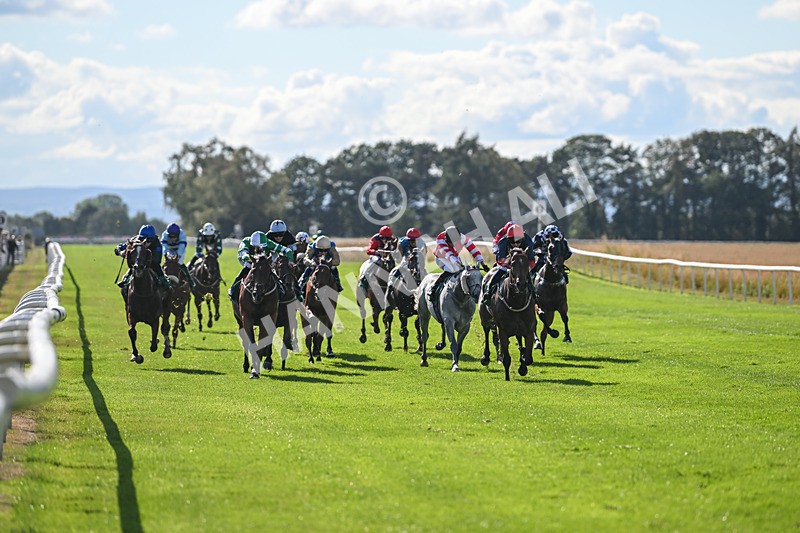 290825-Race 4-Eternal Sunshine-8993 - Race 4