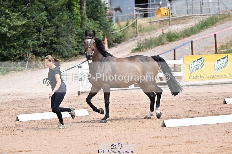 250716-125833-00255 - Trot Up 12.30 to 1.30