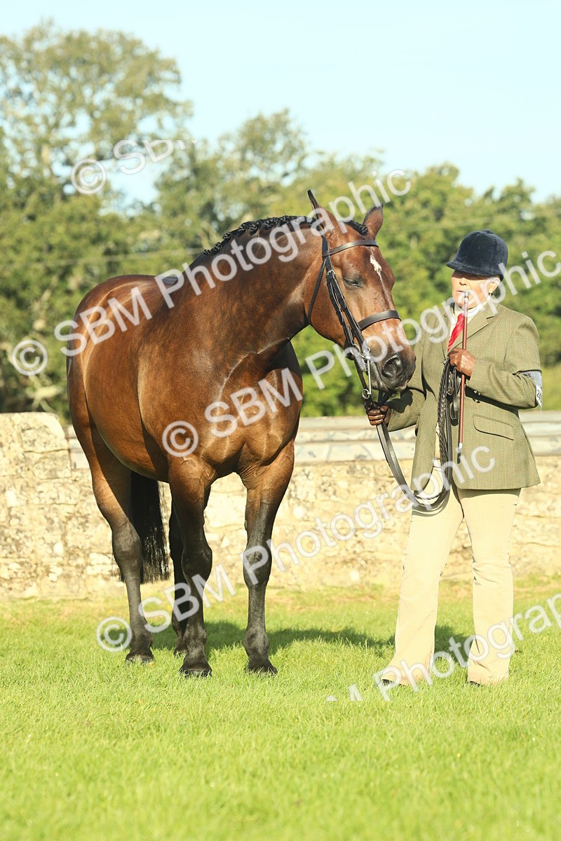 SBM_58597 - S37 - Starters In Hand Showing