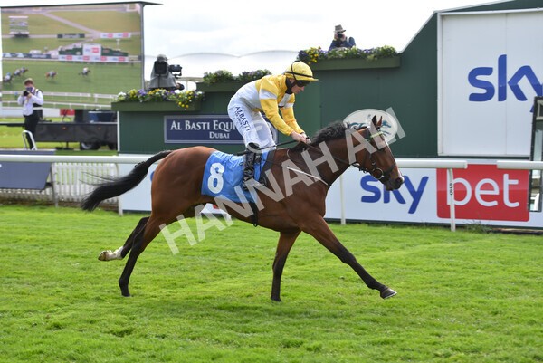 yr12052021r5-26 - Race 5 3.40pm Sky Bet Stakes