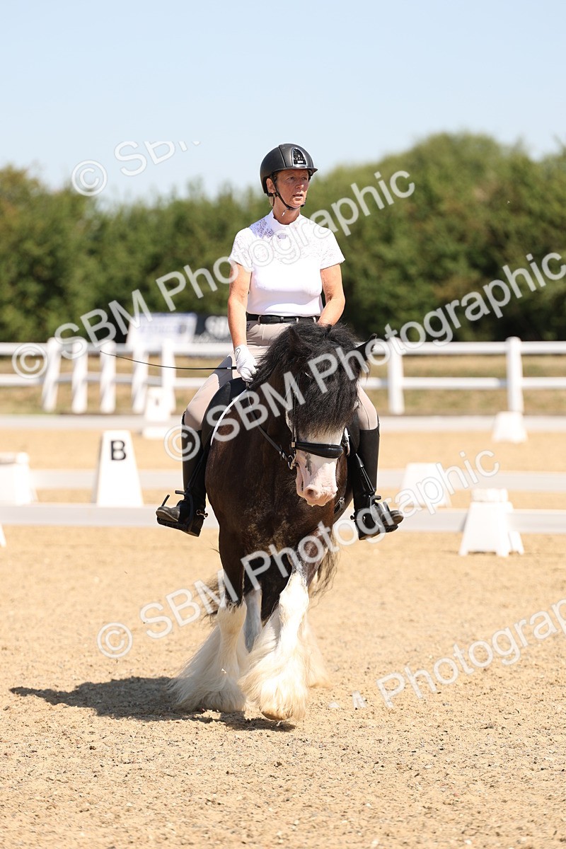 SBM_001197 - Intro 2