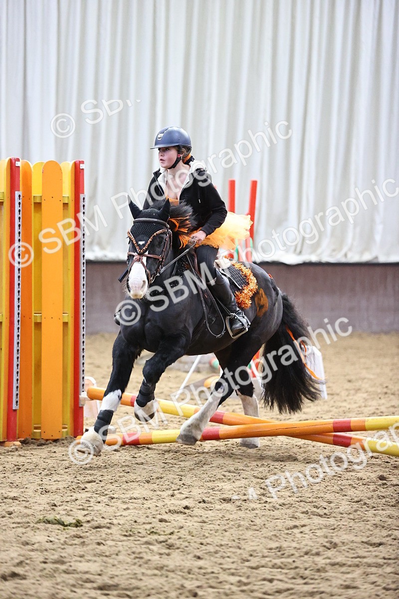 SBM_000300 - Class 2 - Show Jumping 50cm