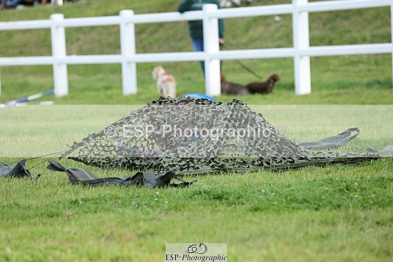 240711-191415-29717 - Cls 210 Jolly Jumps Run and Run