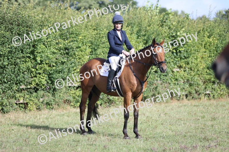 20250831-0833 - Class 14 - Ex Racehorse