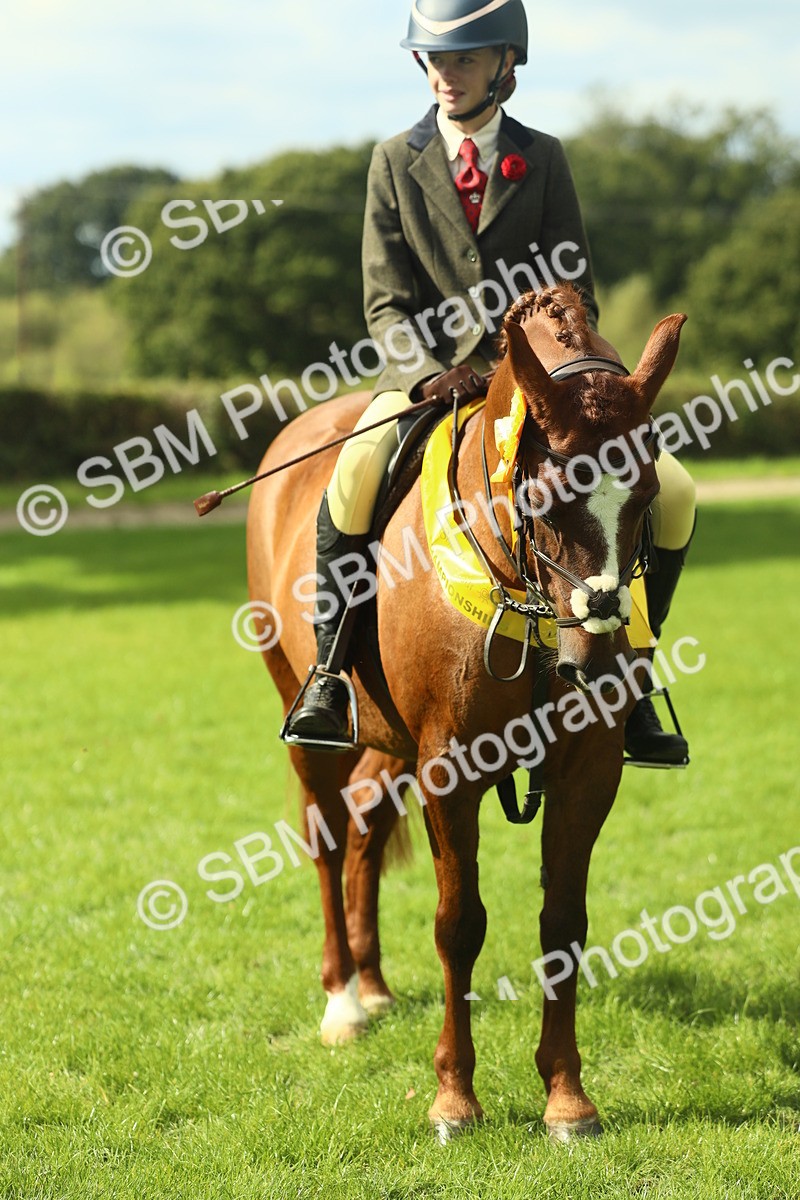 SBM_44985 - Working Hunter Pony Supreme Championship