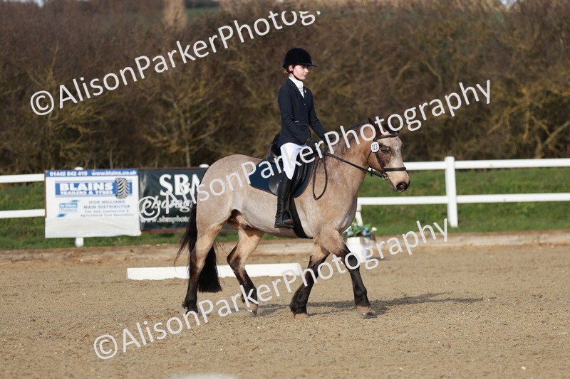 20260314-5375 - DR4 - Prelim 2