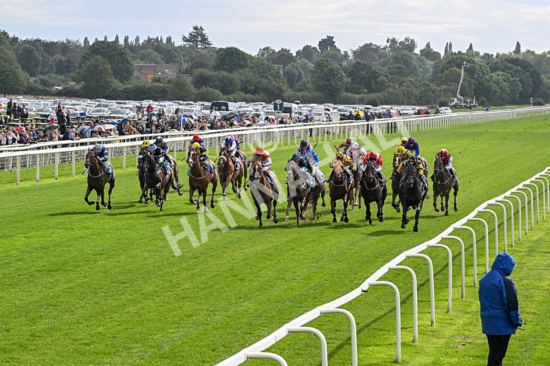 060926-Race 2-Oriental Prince-0081 - Race 2 2.05pm Fine Details Car Valeting Sprint Handicap