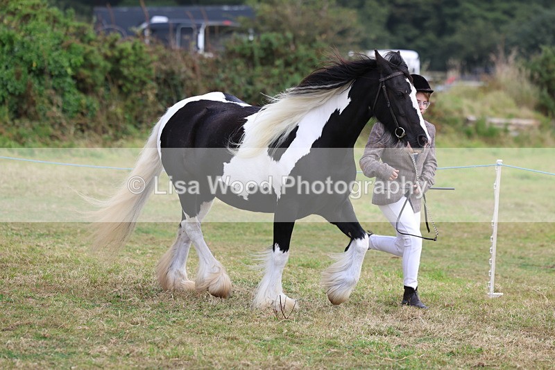 3E7A5353 - Class 19: Best Coloured in Hand