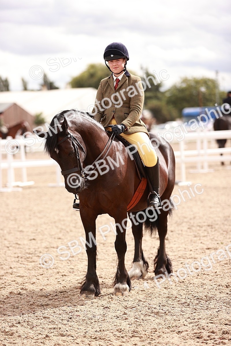 SBM_18390 - Class 418 - Best Condition - Jnr