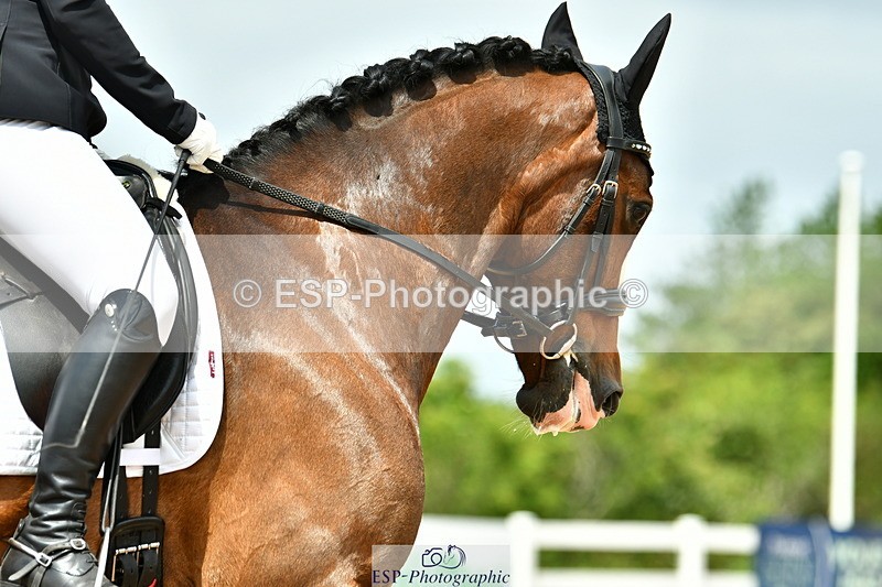 230702A-124743-09710 - Cls 28 Elementary 45