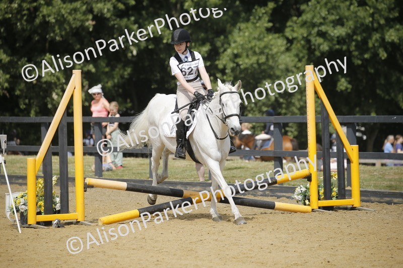 20250622-3907 - 50cm