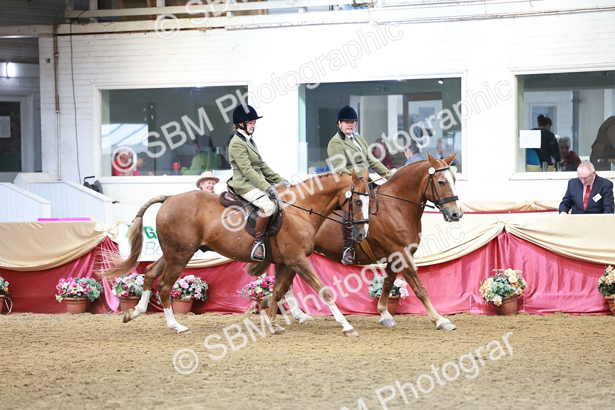 SBM_15646 - Class 109 - Ridden Pairs -Section A