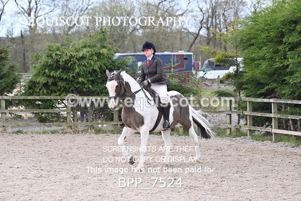 BPP_7524 - RING 1  (RIDDEN HORSES / IN HAND / VETERAN ETC)