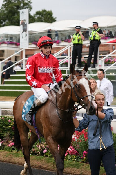 yr22072022r6-33 - Race 6 7.50pm Gallop Racing Stakes