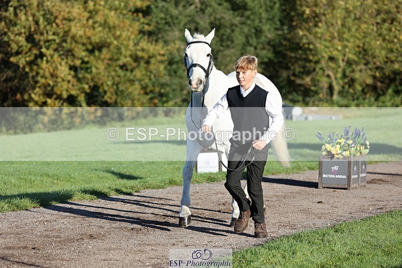 241027-084811-14828 - 381-William.Falango-JUST.BE.JACK