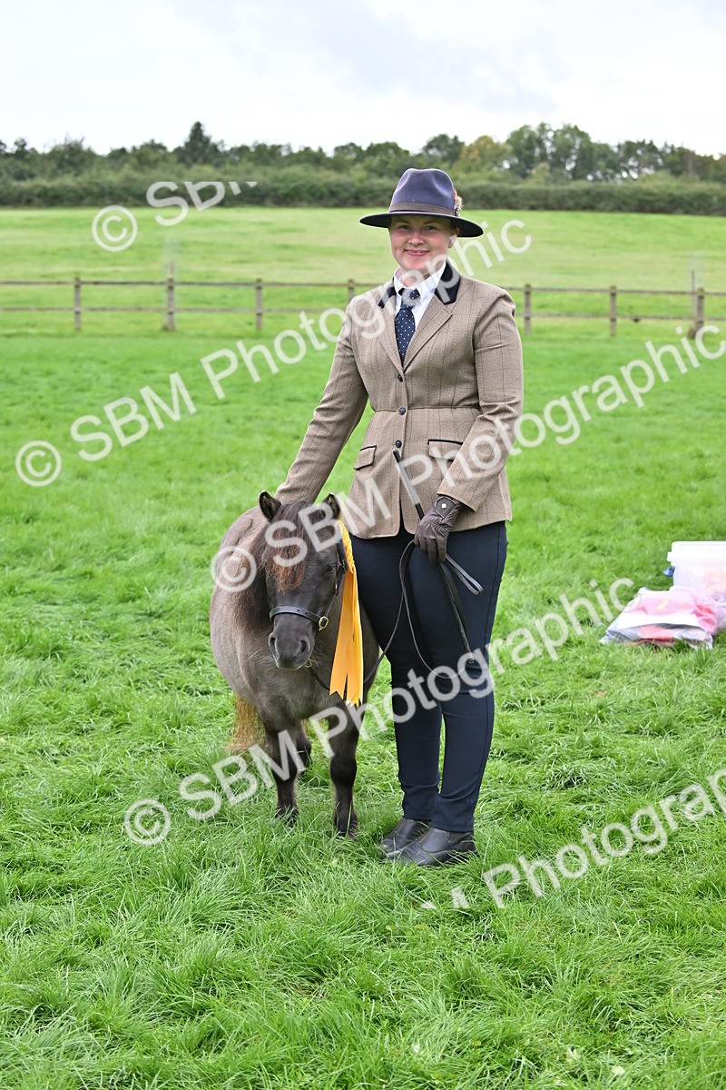 SBM_61071 - S48 - Mountain & Moorland In Hand Small Breeds