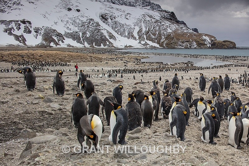  - Antartica