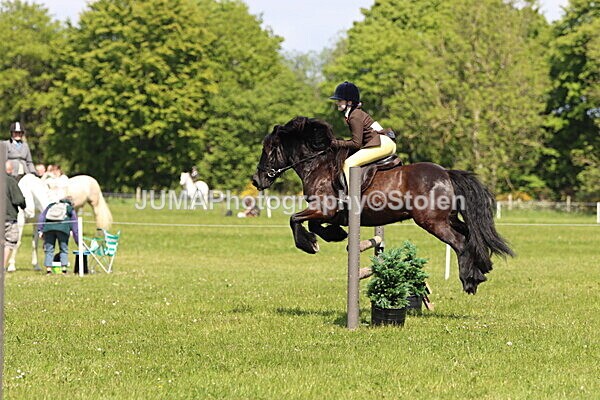 IMG_4301 - Working Hunter