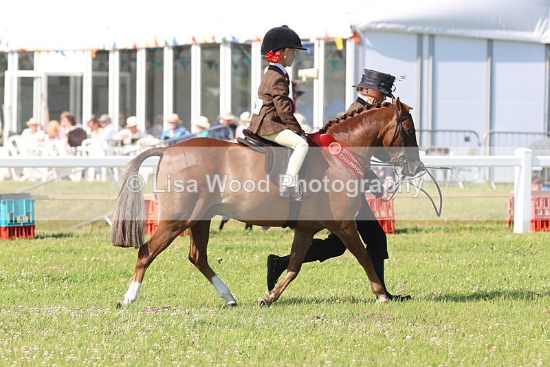 JPP_1652 - Best Rider Championship