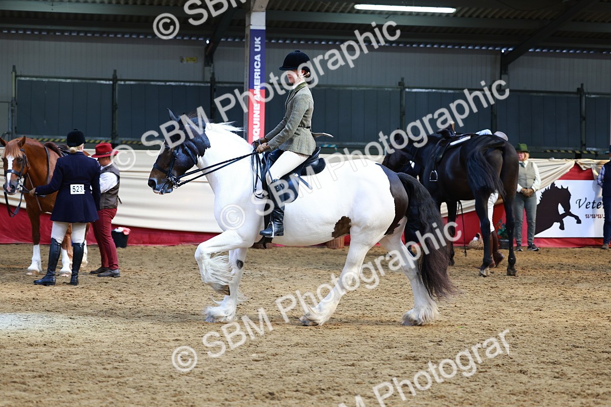 SBM_23497 - class 906 - Supreme Final - Ridden Pre Vet
