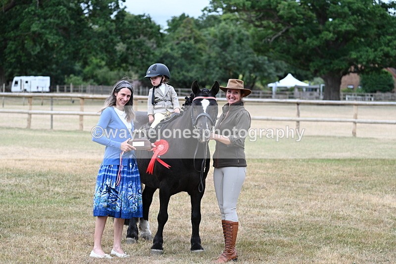 WJ7_9905 - Class 1 Lead Rein Pony