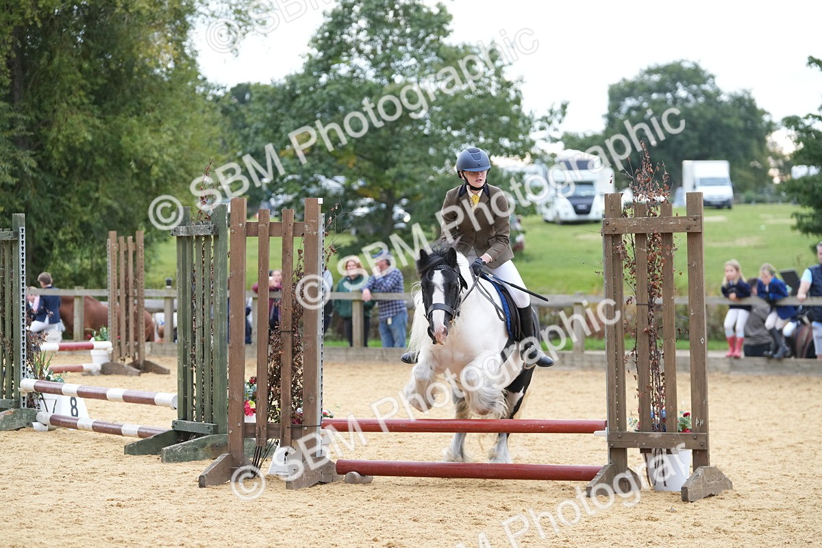 SBM_74870 - J4 - Mini Tour Junior Pony 45cm Championship