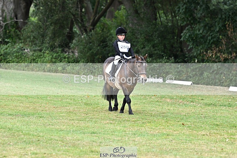 250820A-102954-02592 - Start to 11am