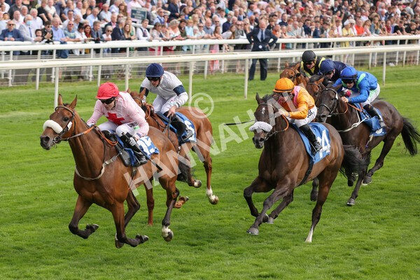 yr18082021r5-53 - Race 5 4.10pm Sky Bet Stakes