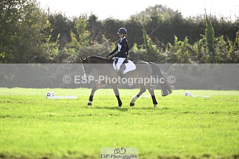 241025-120938-07027 - 375-Erin.Brown-50.SHADES.OF.BAY