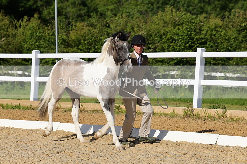 1X9A0645 - Class 3: Youngstock 1, 2, 3 year old not to exceed 153cm
