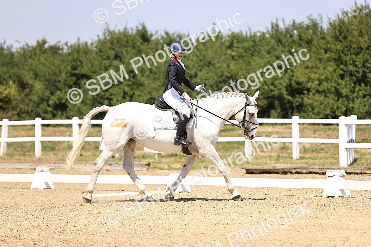 SBM_004117 - Intro 2