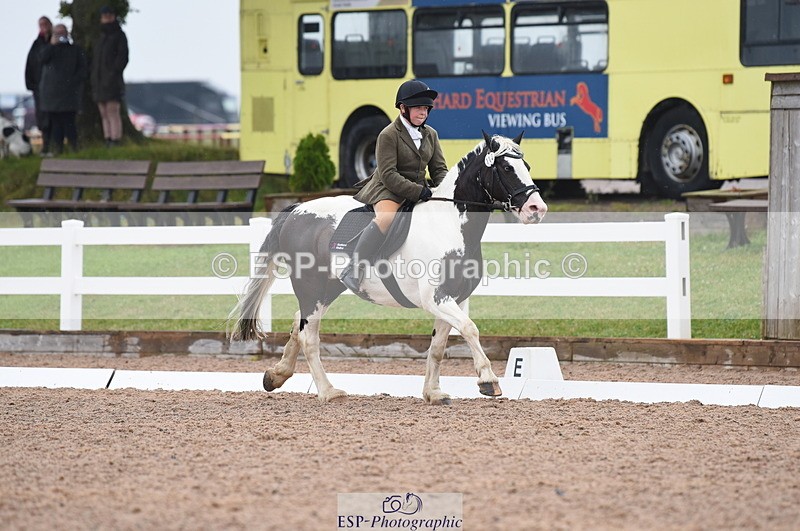 230708A-125044-01781 - Prelim 7