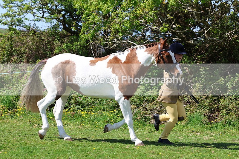 3E7A0304 - Class 19: Best Coloured in Hand