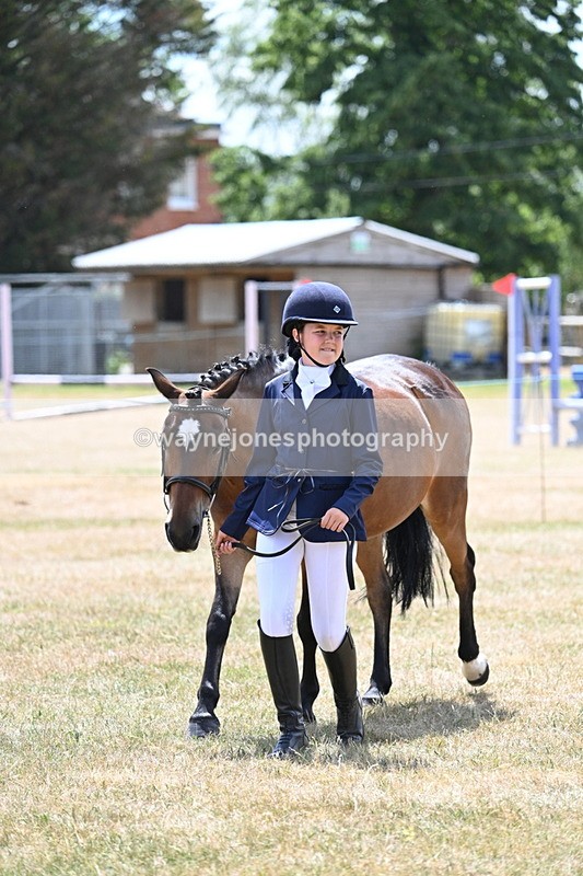 WJ7_2152 - Class 5 Most Handsome Gelding (up to 14.2hh) in hand