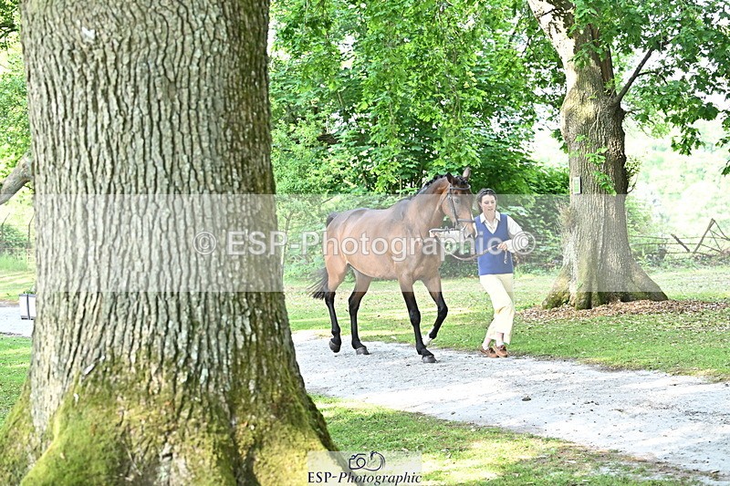 250521A-165727-01428 - C-274-Bizzy.Loffet-LONGBROOK.CHILLI.FLOWER