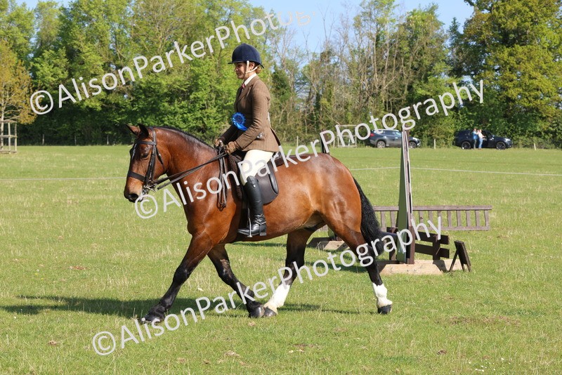 20250427-0602 - Class 17 - Novice Showing