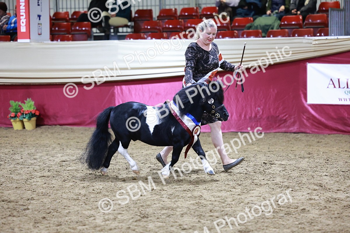 SBM_20874 - Class L - Coloured Champ