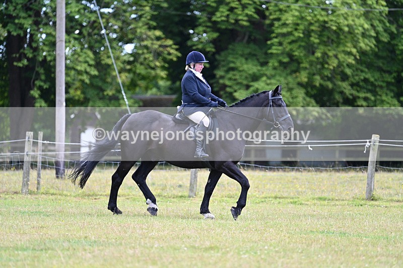WJ7_9060 - Class 8 Ridden Veterans