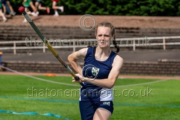 SIAB23-528563 - Field Female Set Two