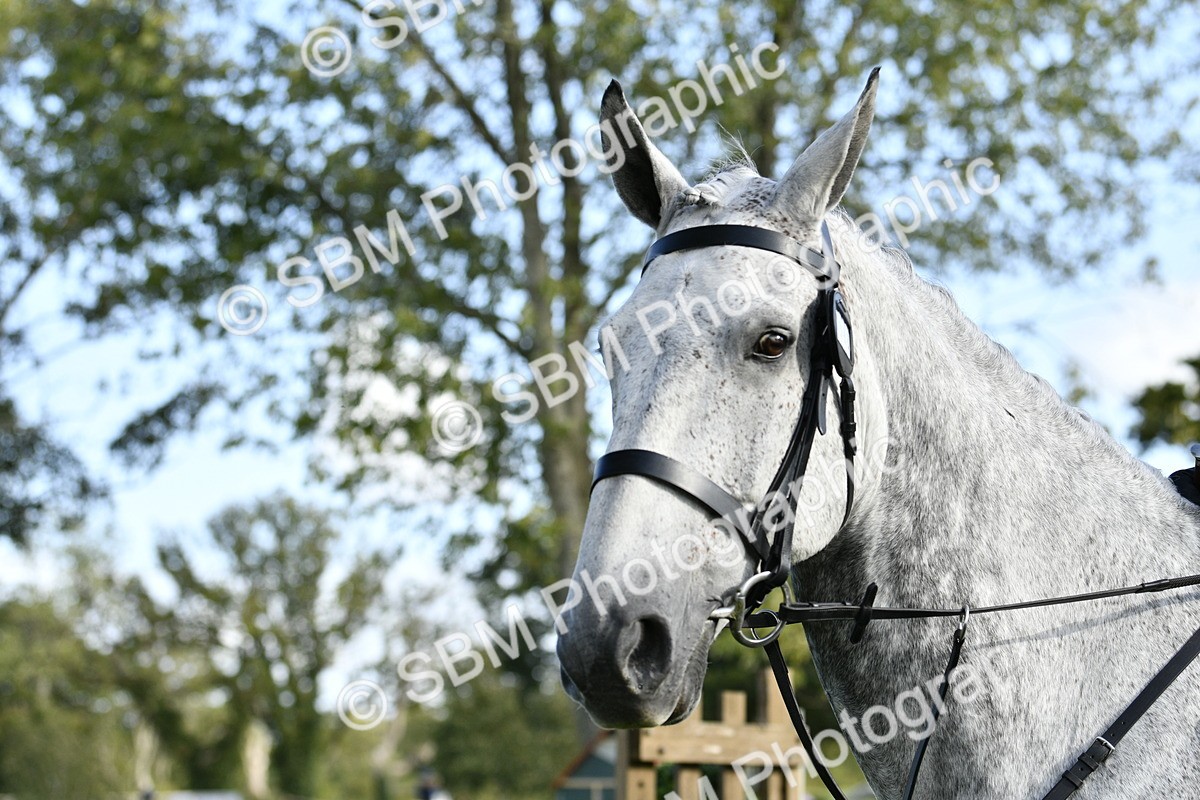 SBM_52157 - S35 - Working Hunter & Working Show Horse