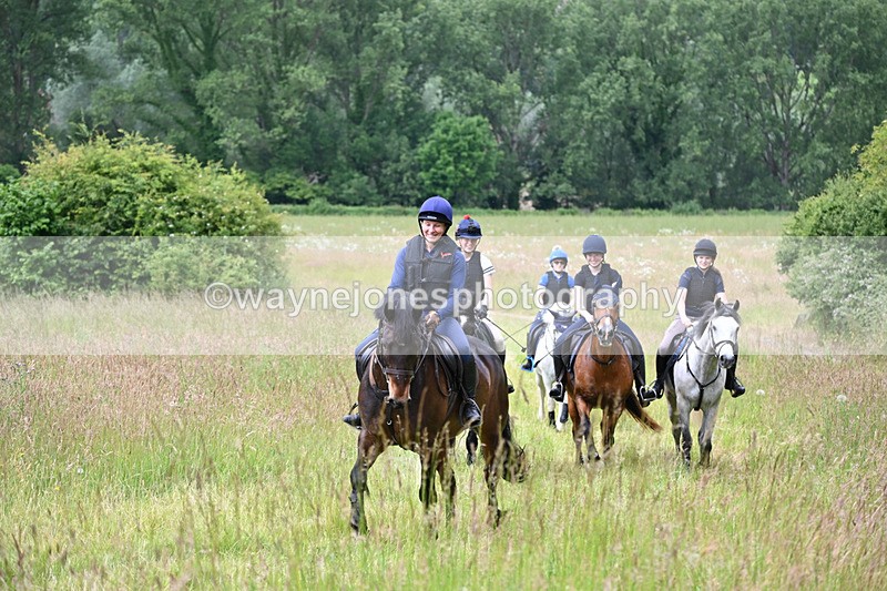 WJ6_7897 - Camera 1 Gallops