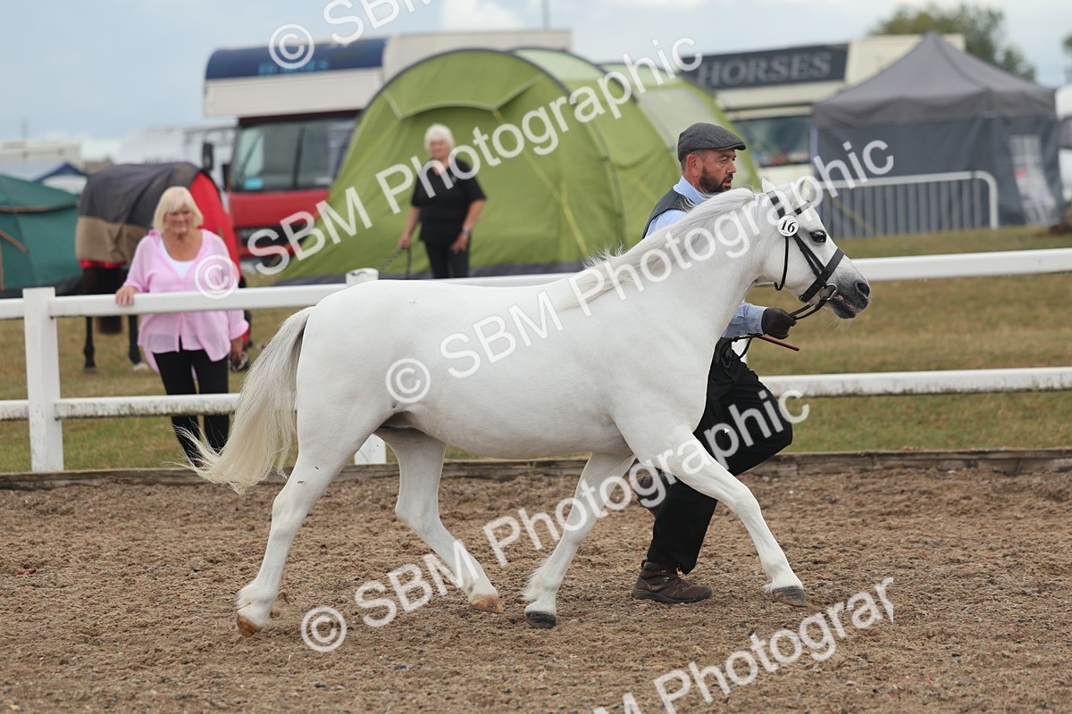SBM_08458 - Class 29 - IH Veteran Pony