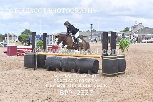 BPP_2327 - DERBY CLASS 7 - 80CM