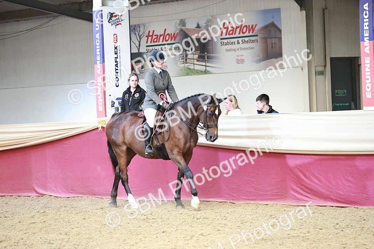 SBM_08626 - Regional Ridden Champ