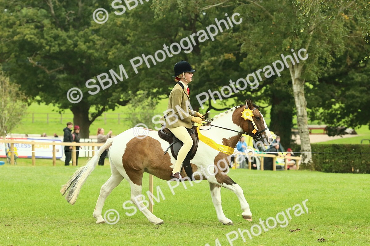 SBM_75016 - Ridden Pony Supreme Championship