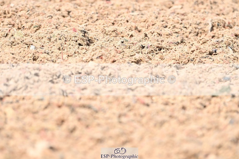 250620-151128-03880 - BD Cls 7 - Elementary 5, 14.40 to End