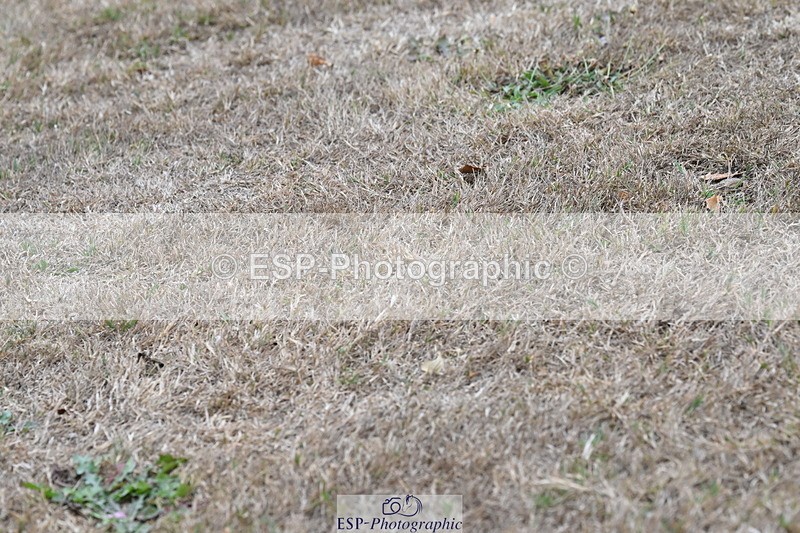 250820A-180640-12526 - Wednesday Presentations