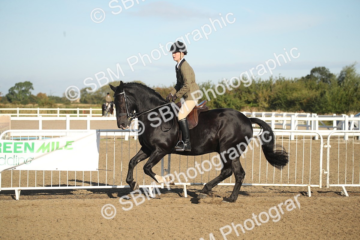 SBM_11548 - Class 502 - Riding Club Horse