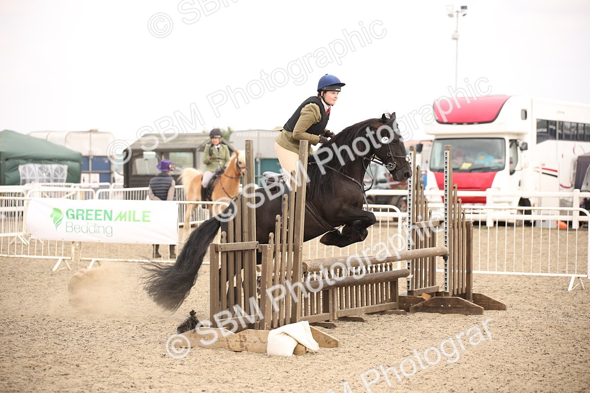 SBM_16186 - Class 409a - Working Veteran 80cm (15-19)